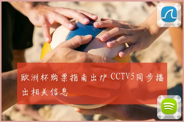 欧洲杯购票指南出炉 CCTV5同步播出相关信息
