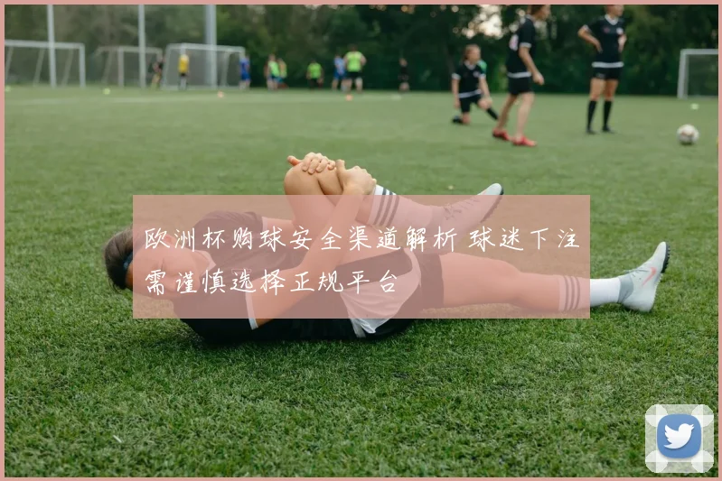 欧洲杯购球安全渠道解析 球迷下注需谨慎选择正规平台