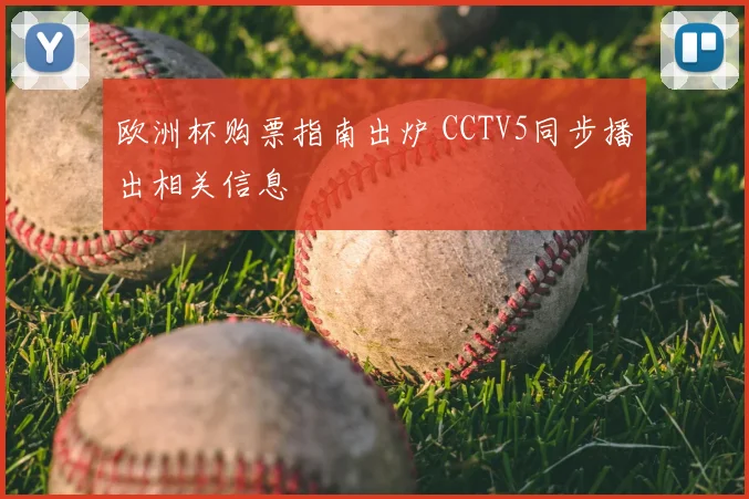 欧洲杯购票指南出炉 CCTV5同步播出相关信息