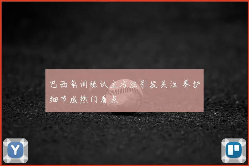 巴西龟训练认主方法引发关注 养护细节成热门看点