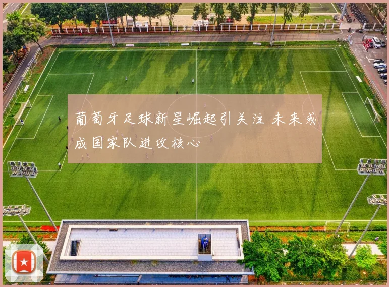 葡萄牙足球新星崛起引关注 未来或成国家队进攻核心