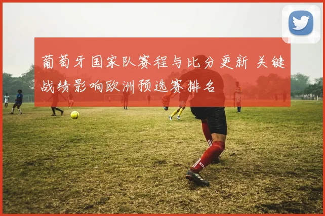 葡萄牙国家队赛程与比分更新 关键战绩影响欧洲预选赛排名