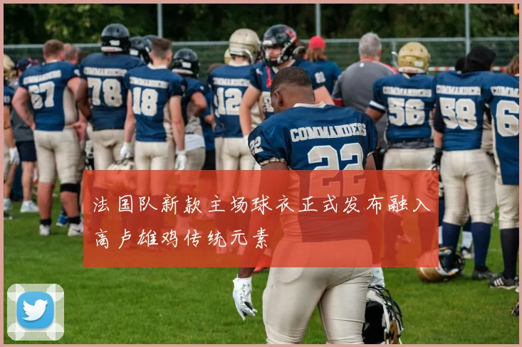 法国队新款主场球衣正式发布融入高卢雄鸡传统元素