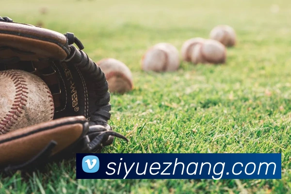 米兰官网入口平台生态图